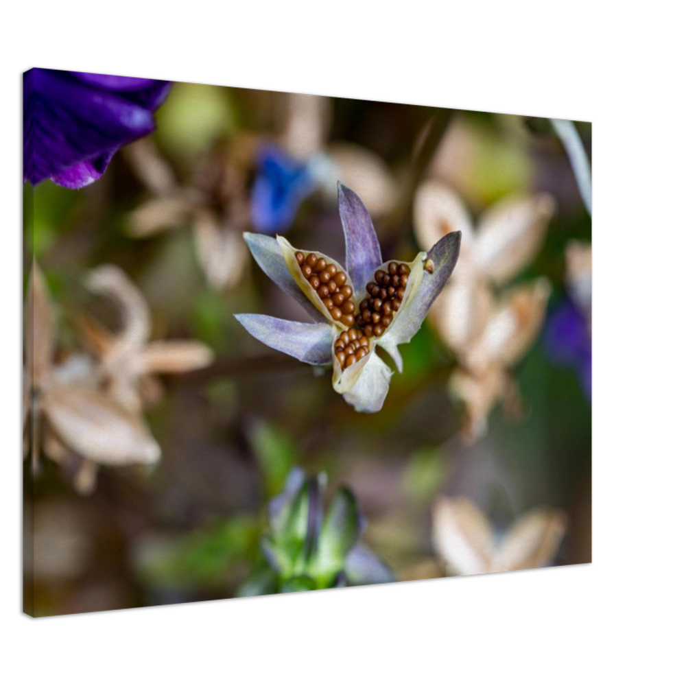 Blumenbild