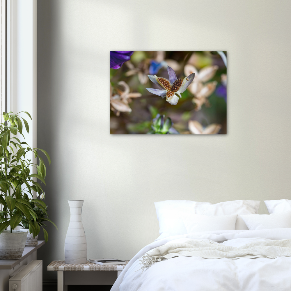 Blumenbild
