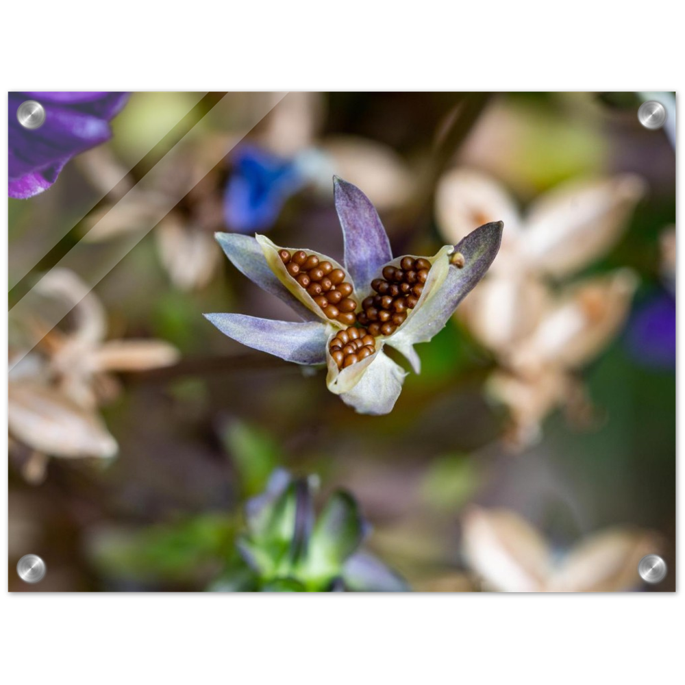 Blumenbild