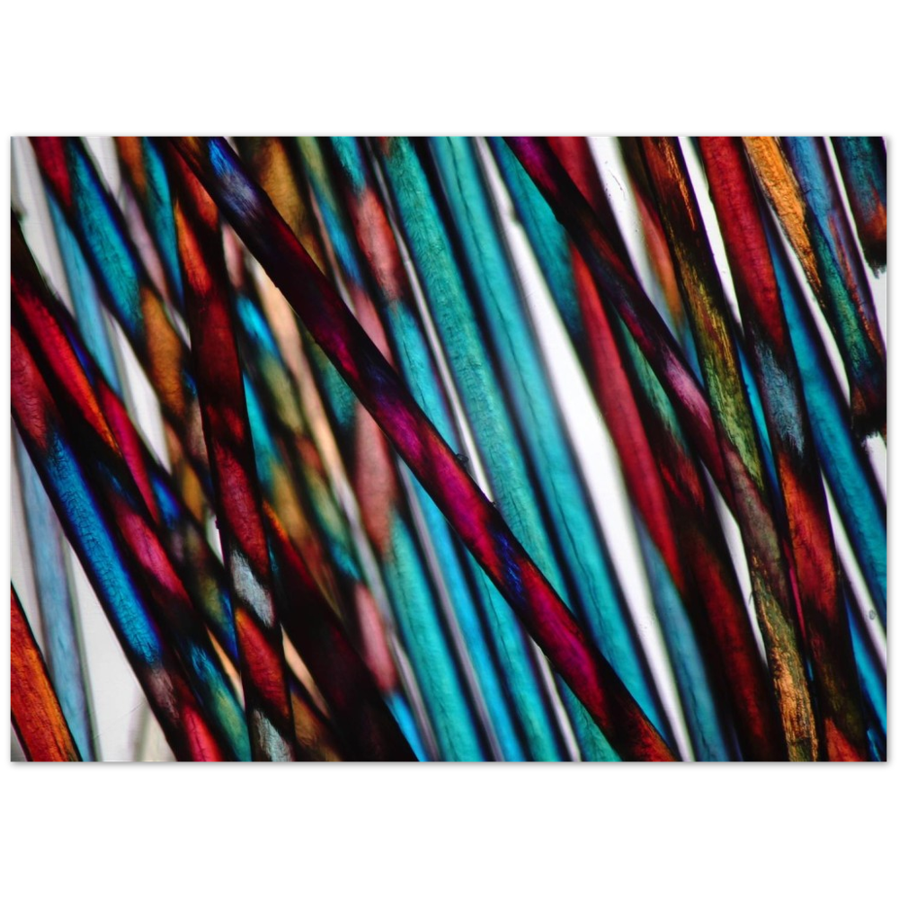 blue mood hairs (Menschenhaare)