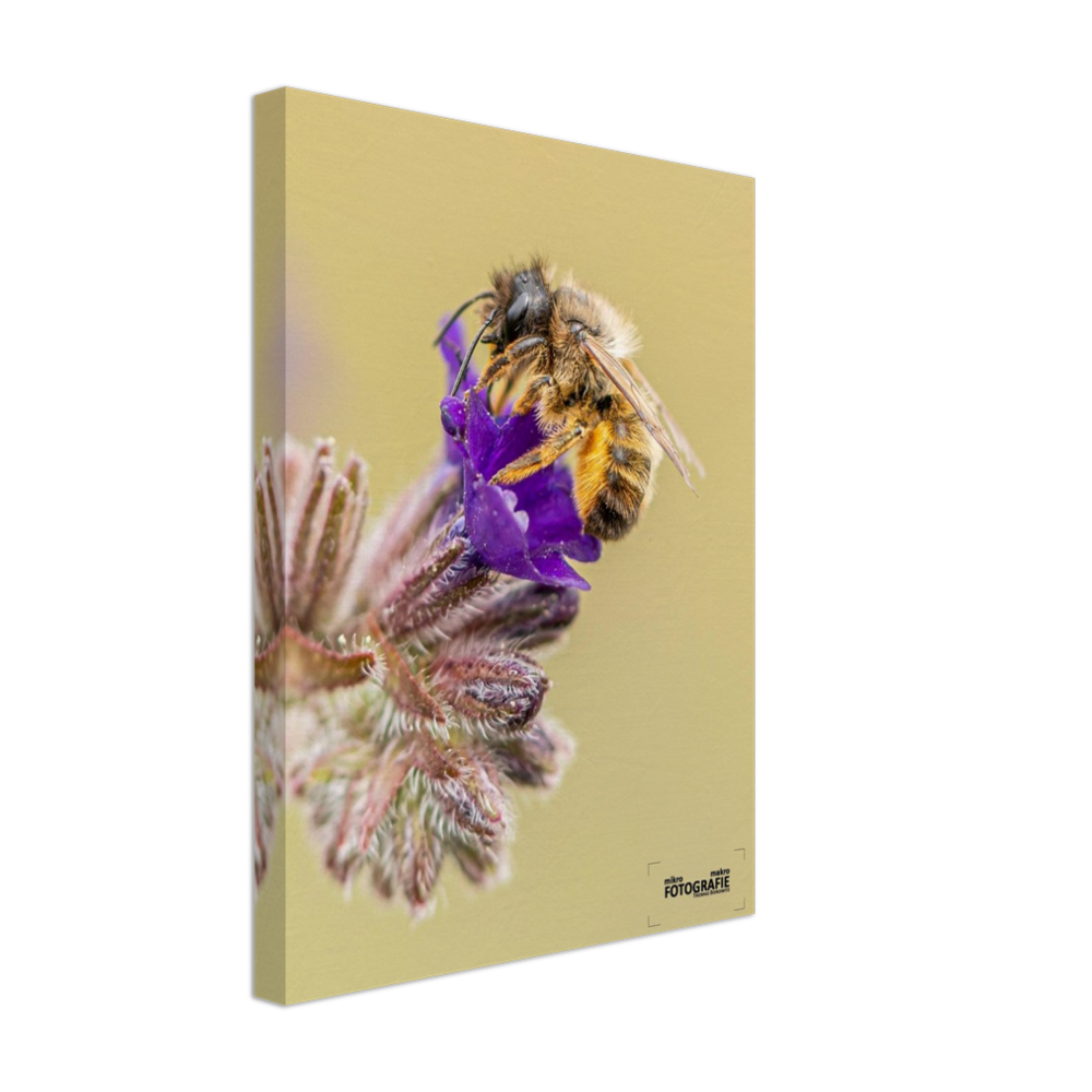 Bienen und Blumen