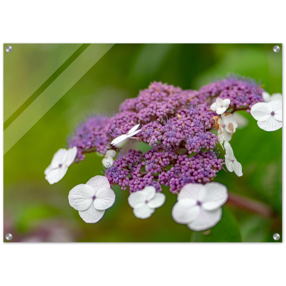 Natur pur