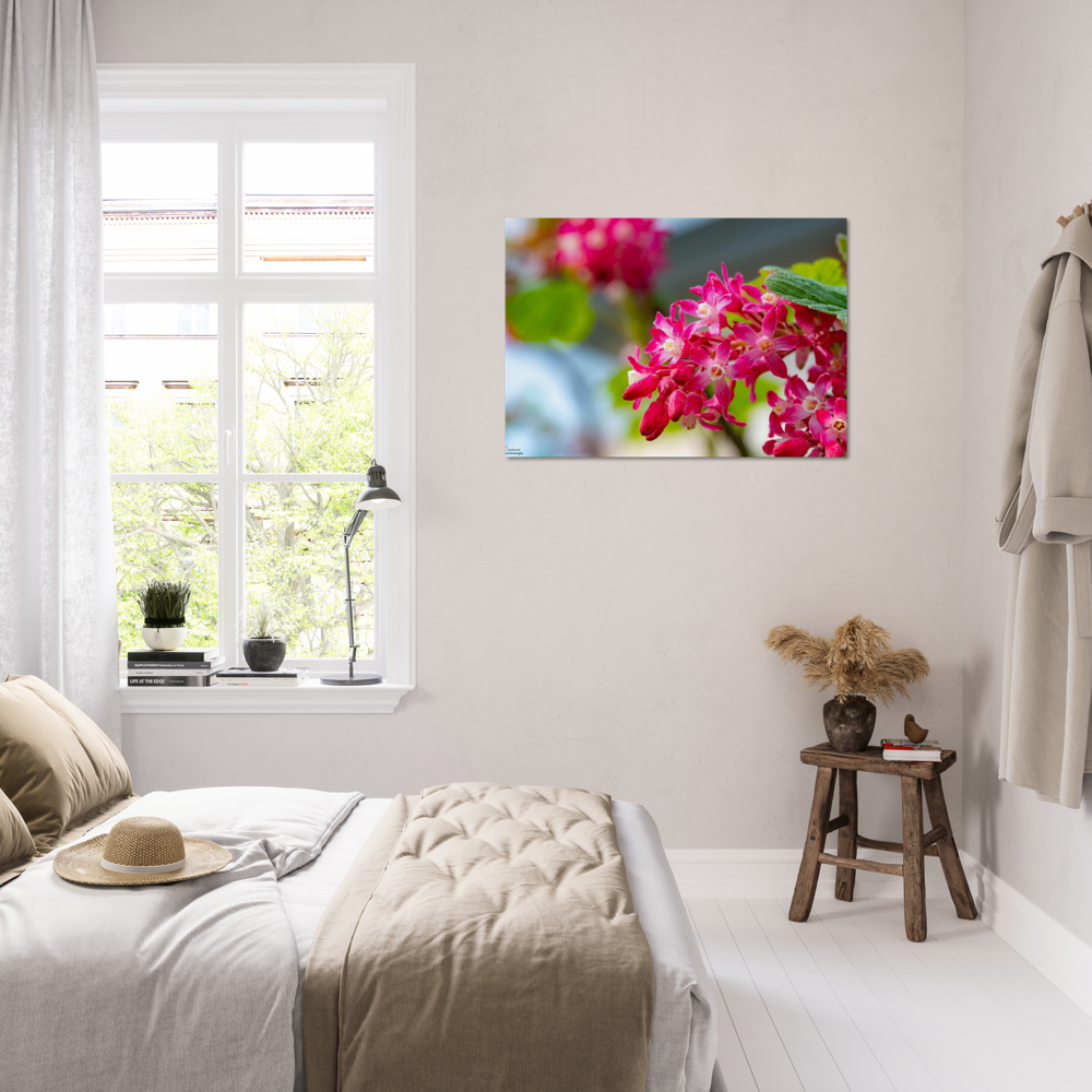 Schöne Blumen