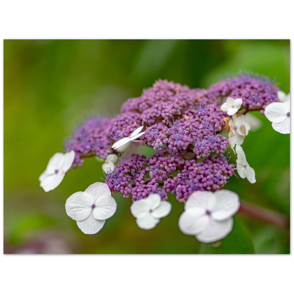 Natur pur