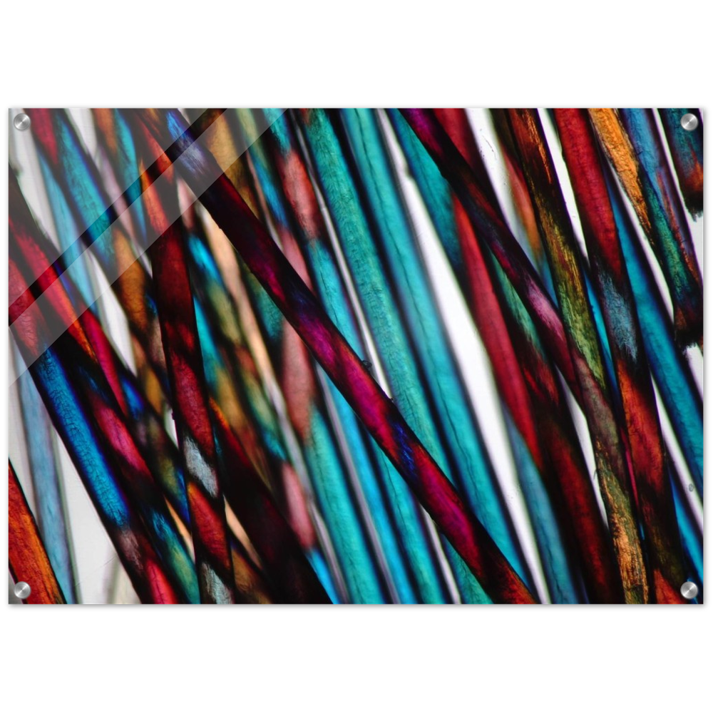 blue mood hairs (Menschenhaare)