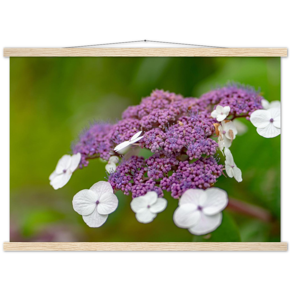 Natur pur