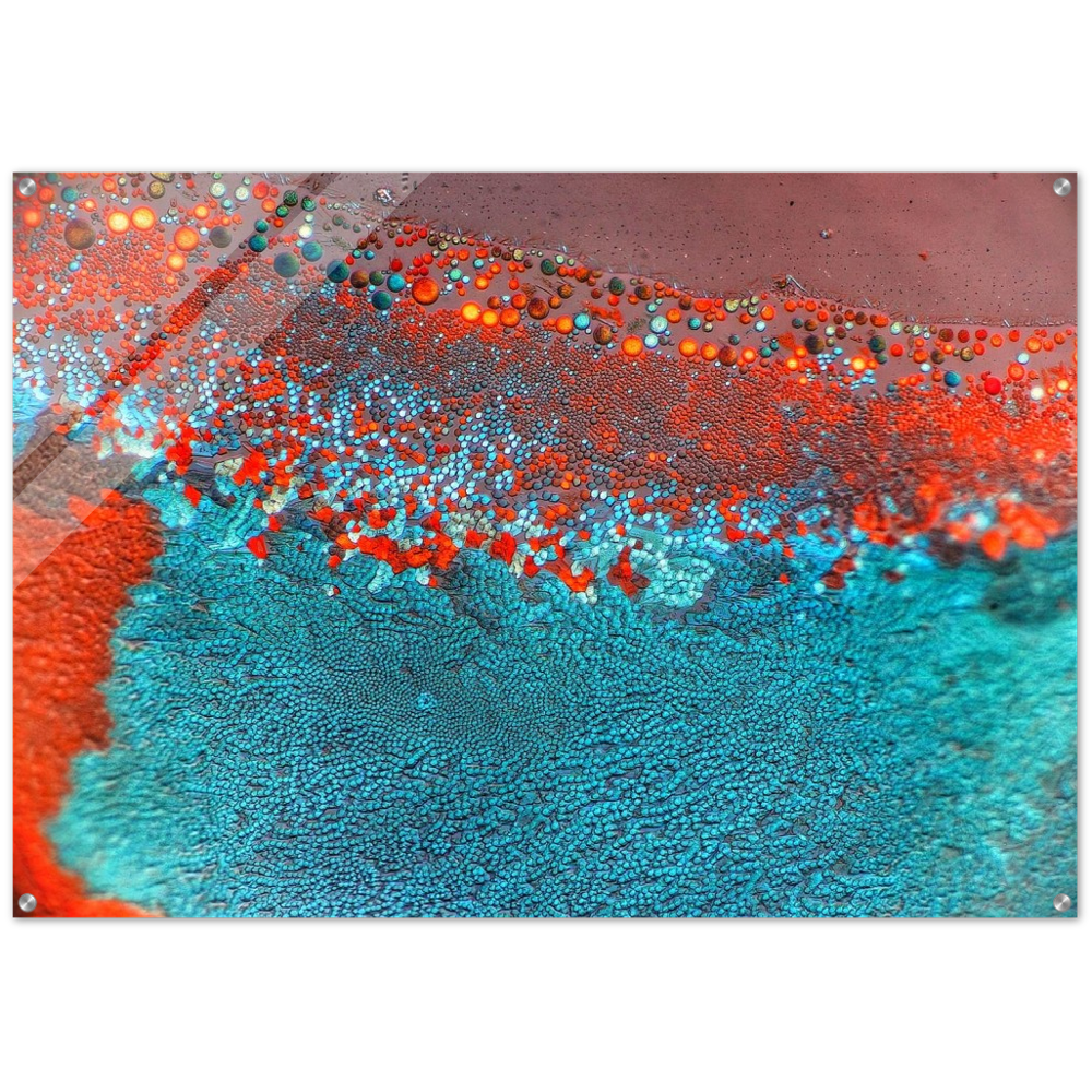 dinosaur skin (Esbachsches Reagenz)