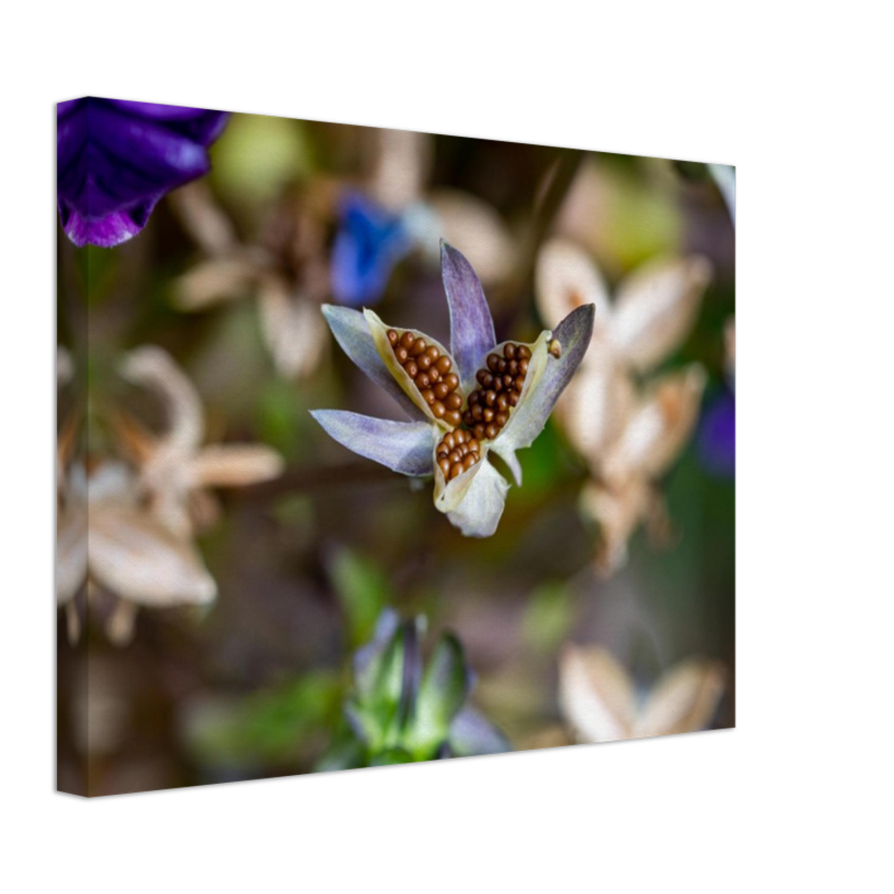 Blumenbild