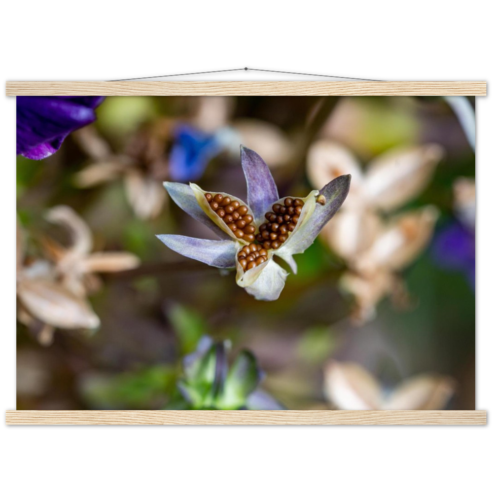 Blumenbild