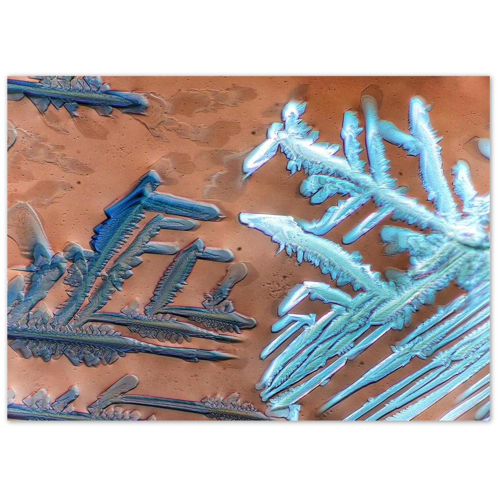 fight of the snowflakes (Esbachsches Reagenz)