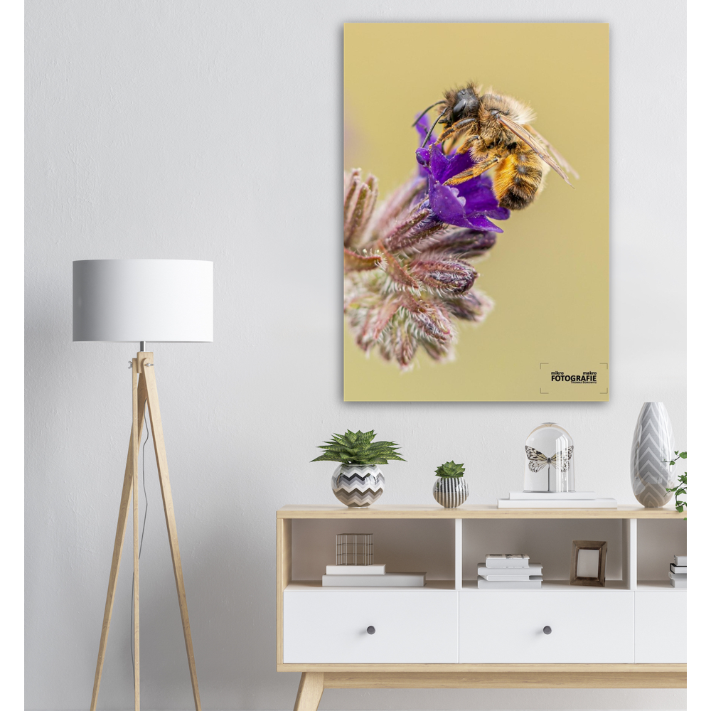 Bienen und Blumen