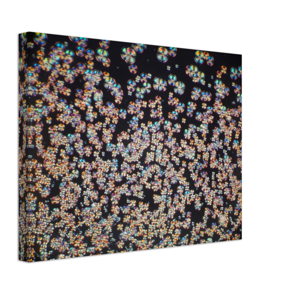 wisdom of crowds (Asparaginsäure)