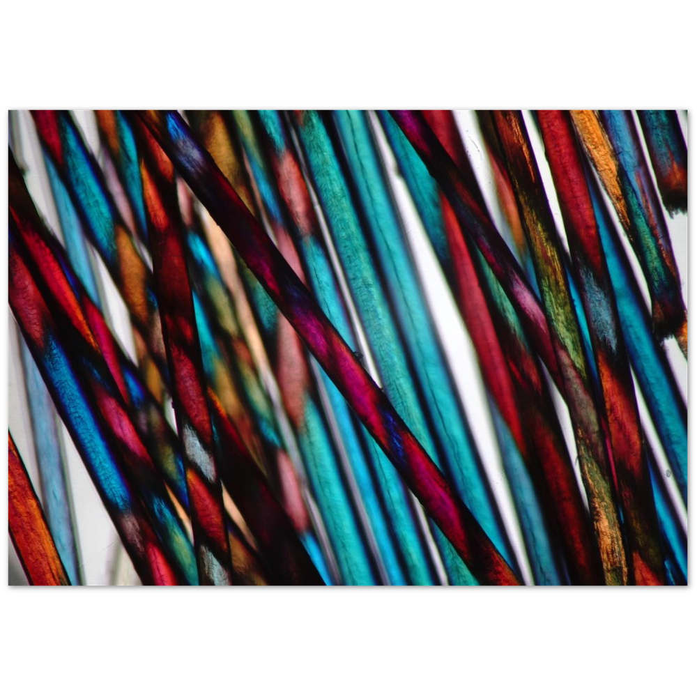 blue mood hairs (Menschenhaare)