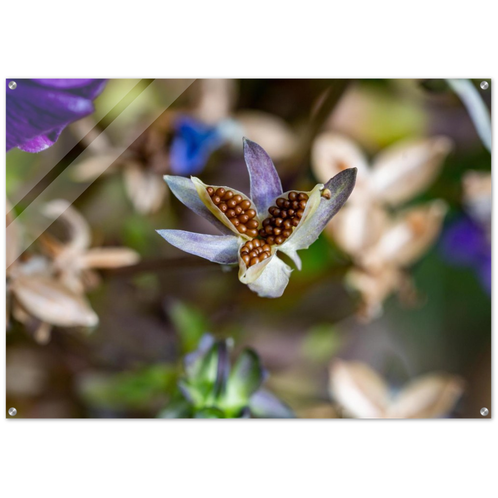 Blumenbild