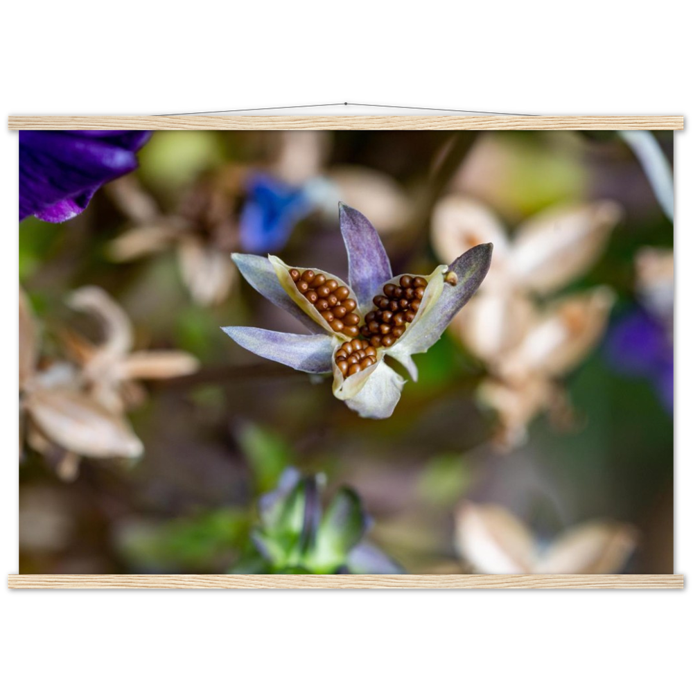 Blumenbild