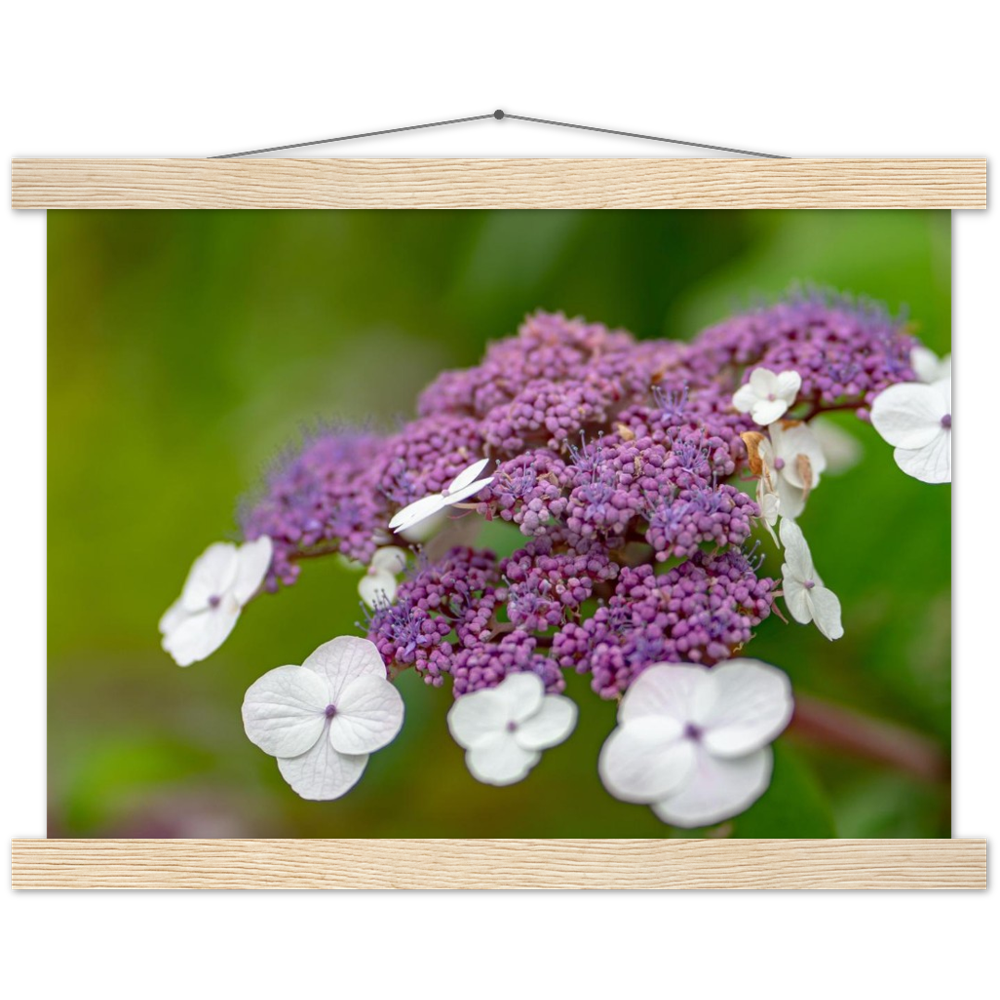 Natur pur