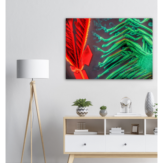 Rot-Grün-Schwäche? (Esbachsches Reagenz)