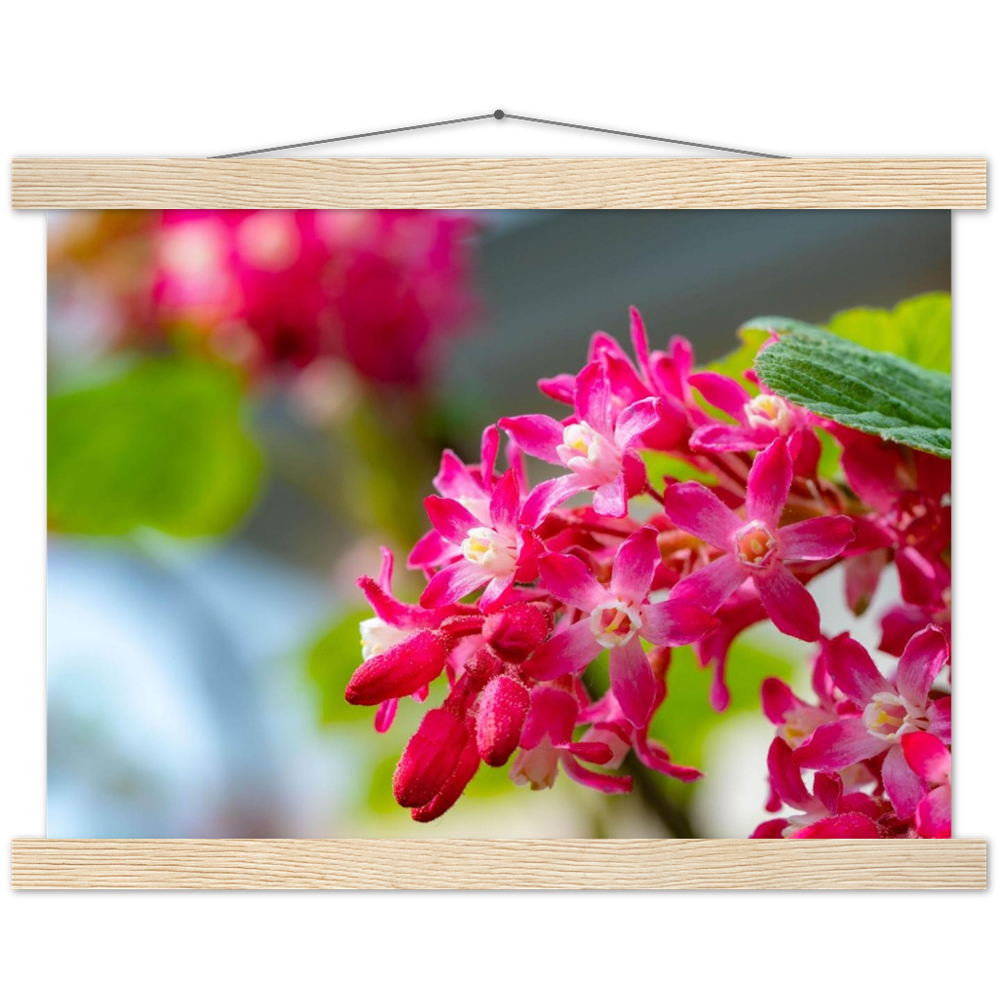 Schöne Blumen