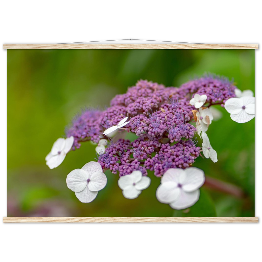 Natur pur