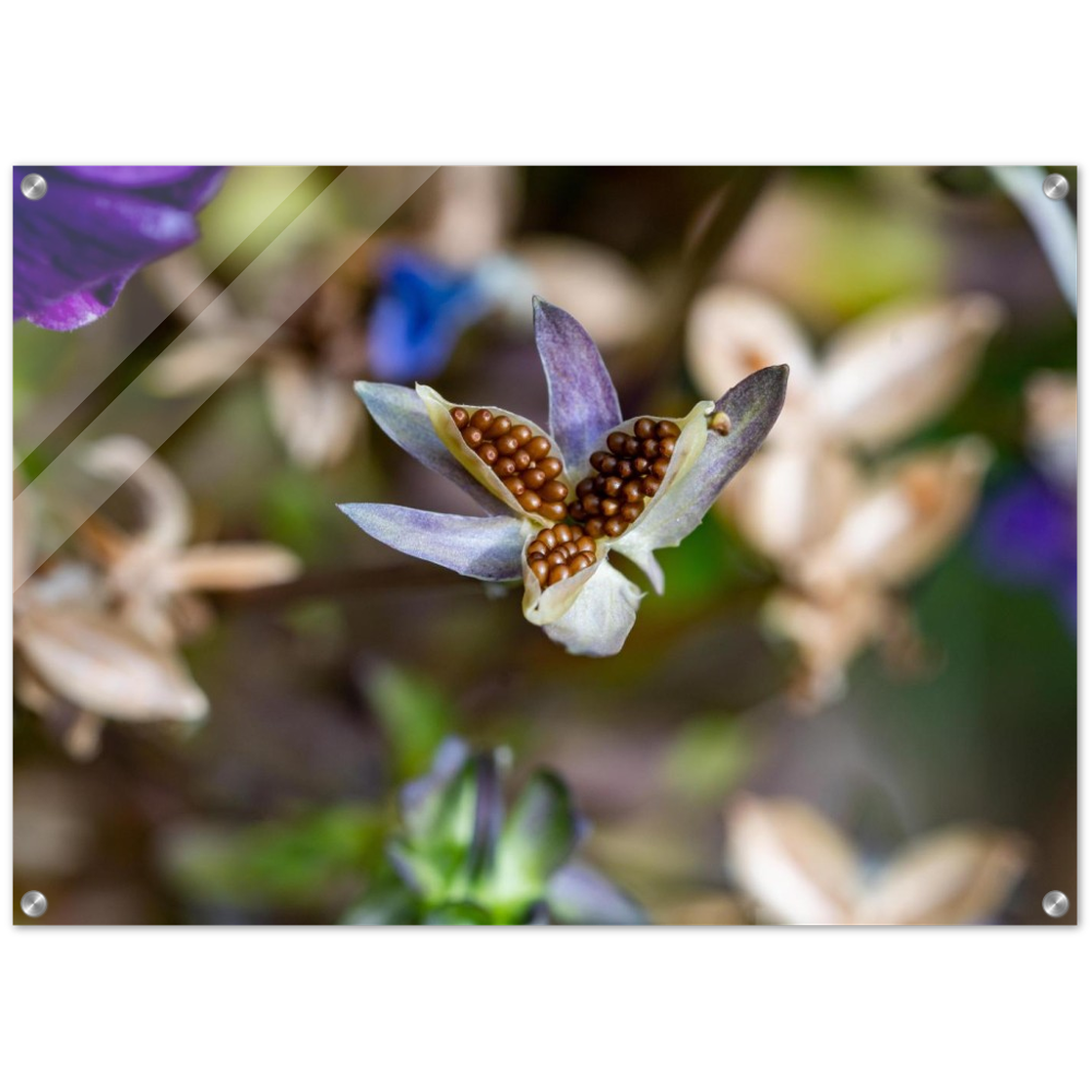 Blumenbild