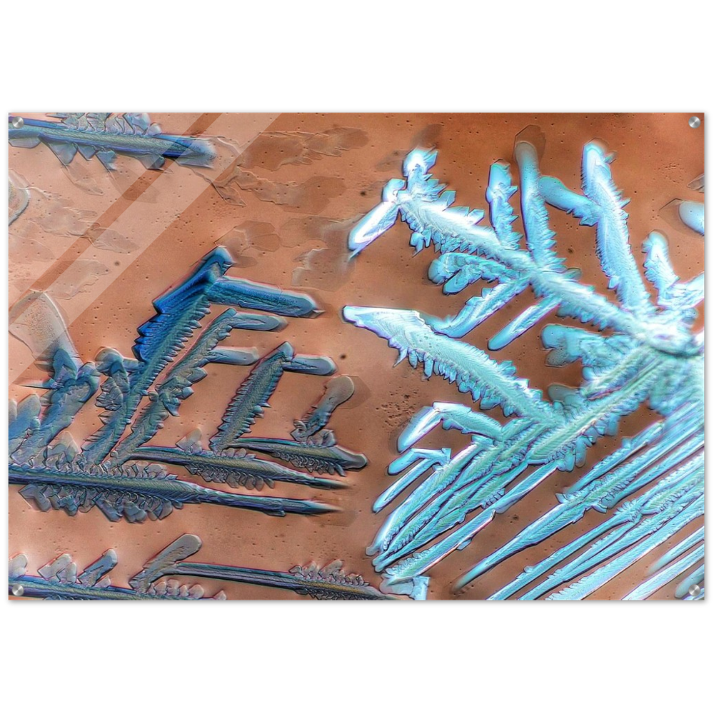 fight of the snowflakes (Esbachsches Reagenz)