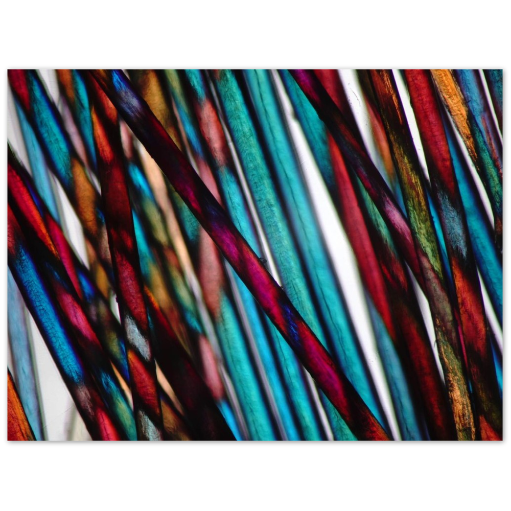blue mood hairs (Menschenhaare)