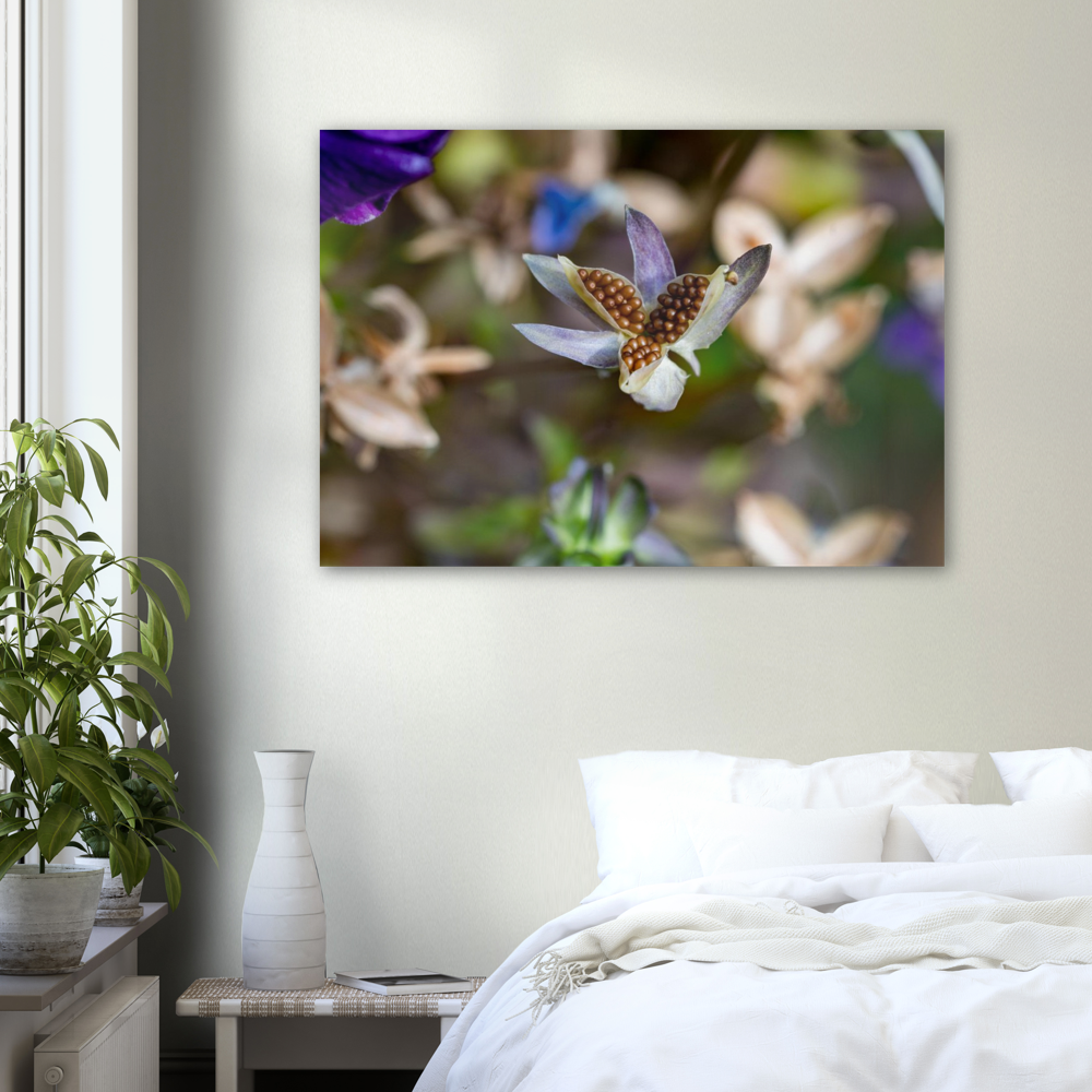 Blumenbild