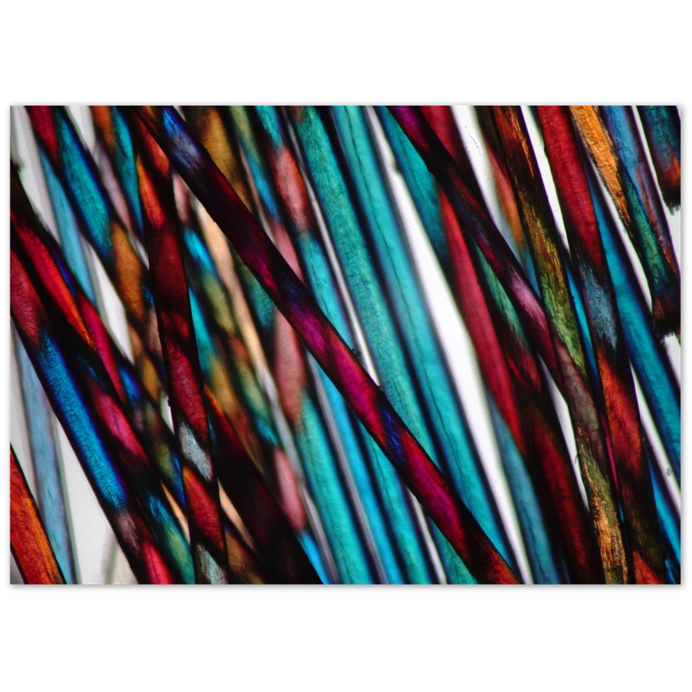 blue mood hairs (Menschenhaare)