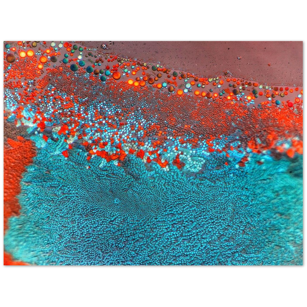 dinosaur skin (Esbachsches Reagenz)