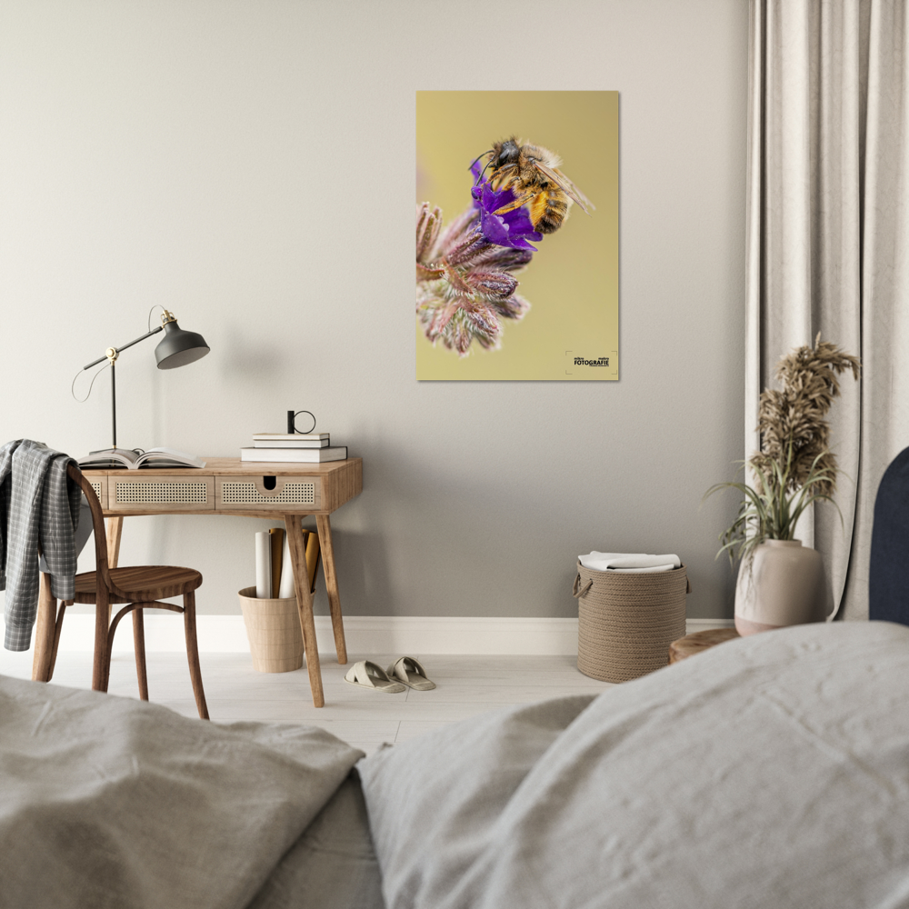 Bienen und Blumen