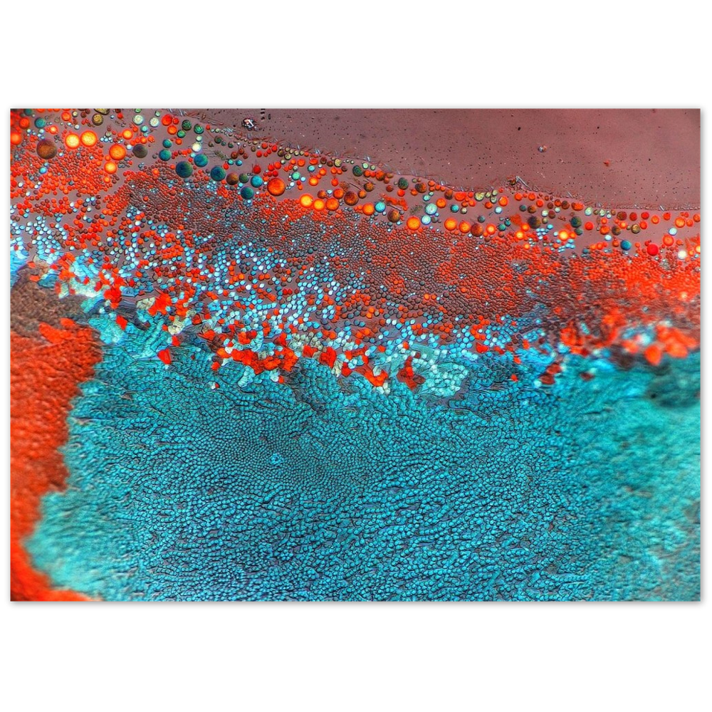 dinosaur skin (Esbachsches Reagenz)