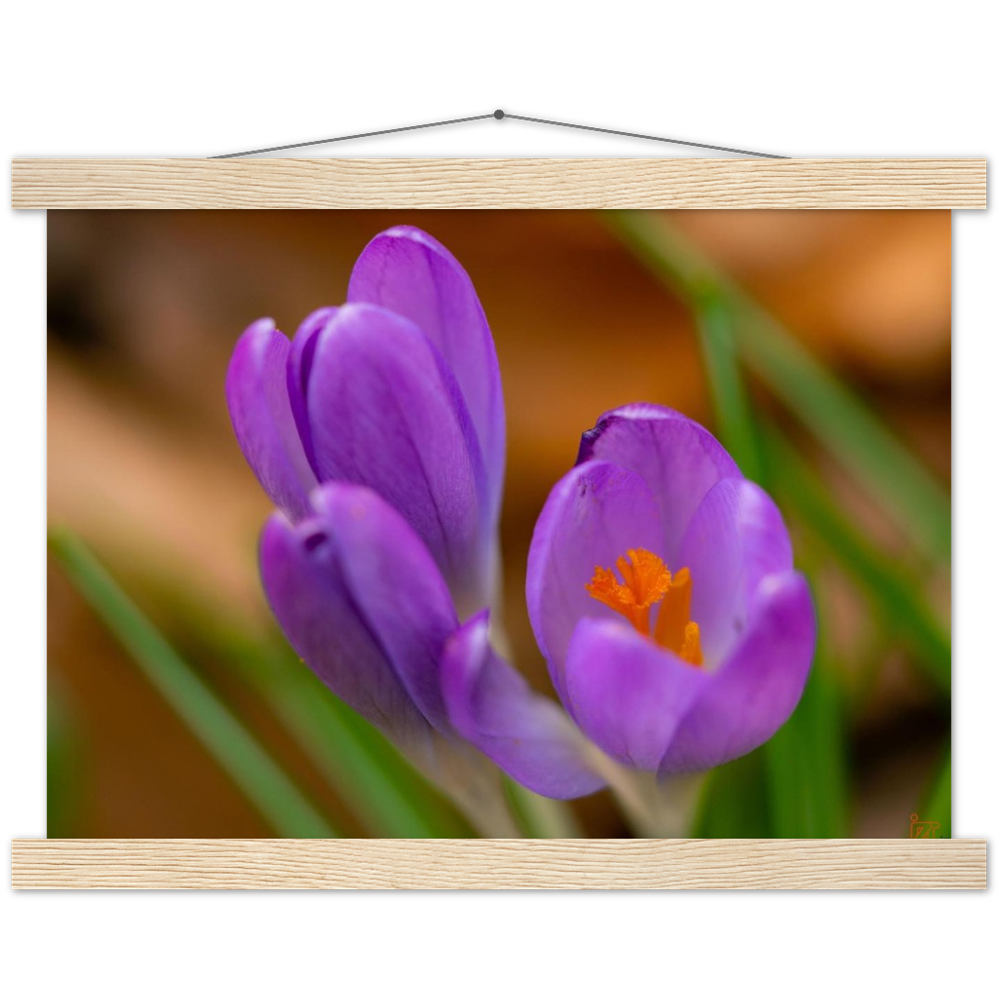 Blümchen