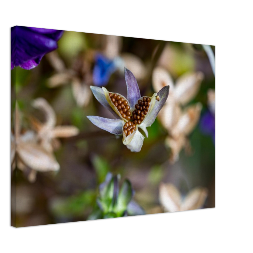 Blumenbild