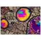 self-organizing matter (Coffein)
