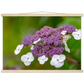 Natur pur
