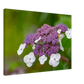 Natur pur