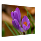 Blümchen