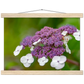 Natur pur