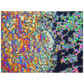 paradise losing, p-Dichlorbenzol (Mottenkugeln)