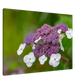 Natur pur