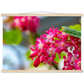 Schöne Blumen
