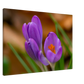 Blümchen