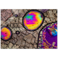 self-organizing matter (Coffein)
