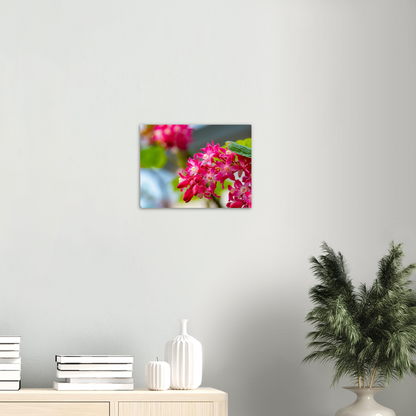 Schöne Blumen