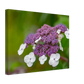Natur pur